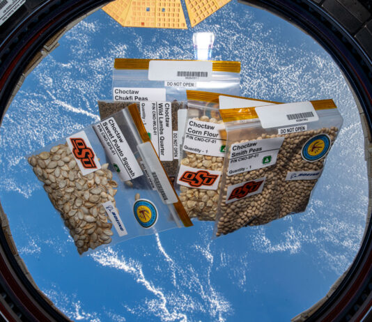 Native American Seeds Sent to Space Station by NASA Five plastic bags of different seeds are inside the cupola of the International Space Station, Earth can be seen through the cupola window.
