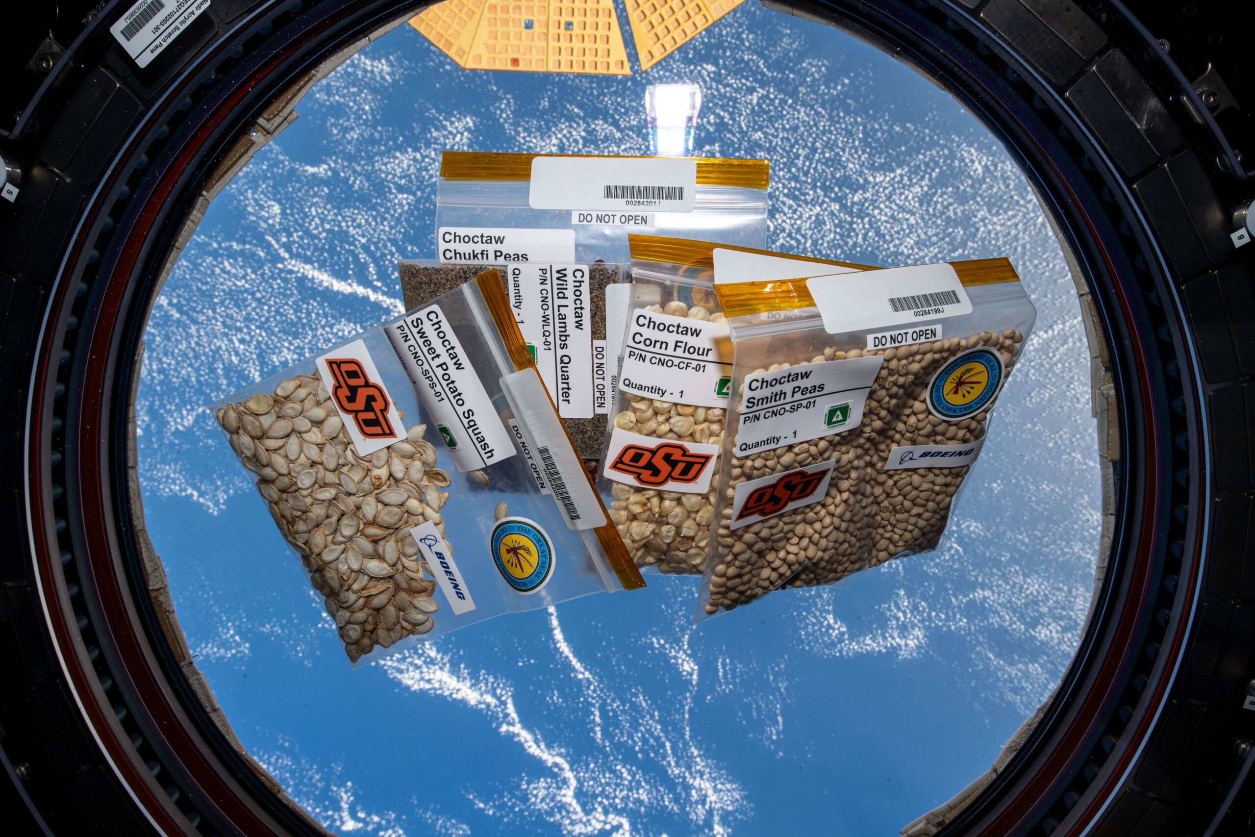 iss070e028324orig.jpg Five plastic bags of different seeds are inside the cupola of the International Space Station, Earth can be seen through the cupola window.