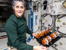 NASA Advances Space-Fermented Food Research with BioNutrients Study NASA Continues BioNutrients Space-Fermented Food Research - NASA