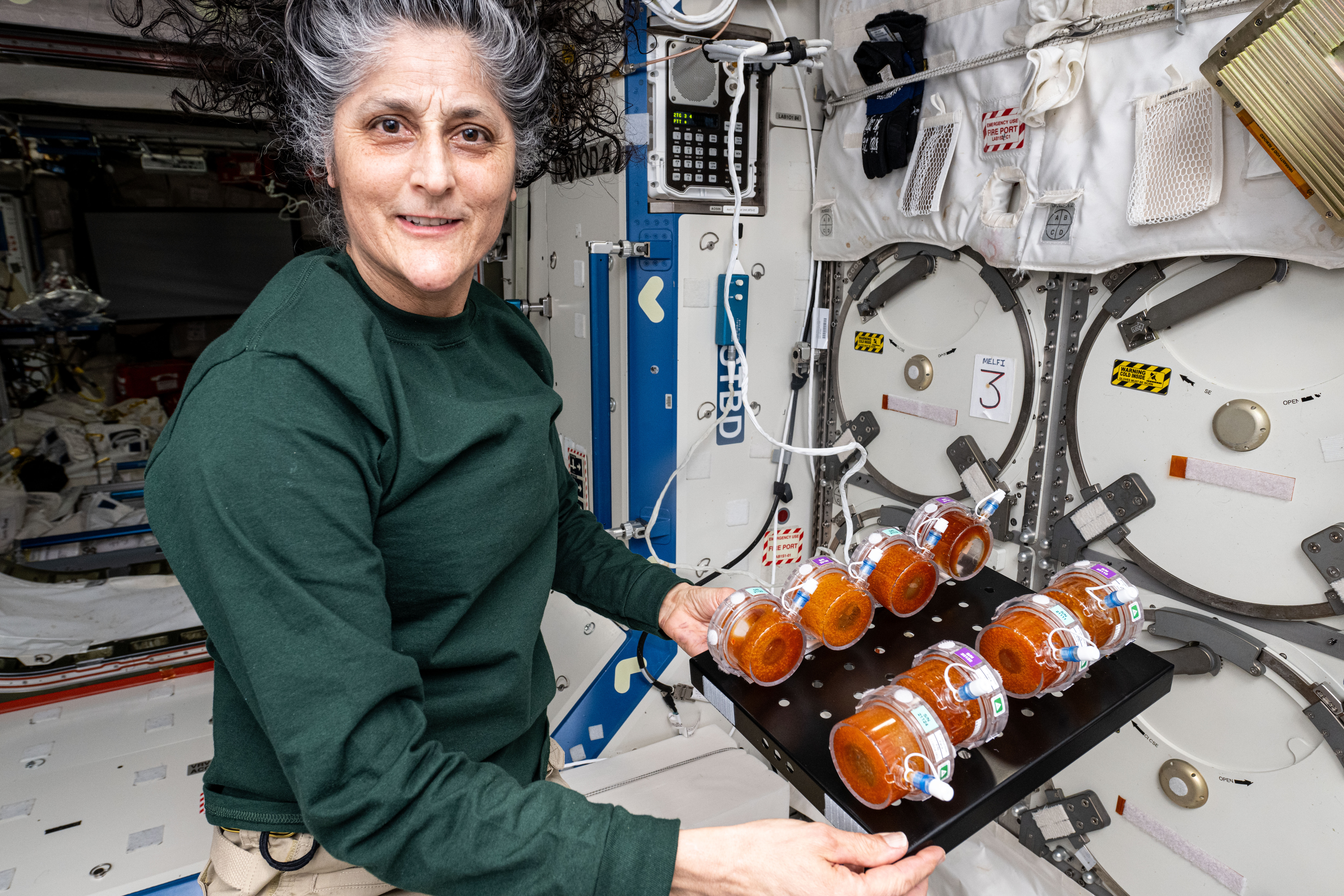 iss072e616434.jpg NASA Continues BioNutrients Space-Fermented Food Research - NASA
