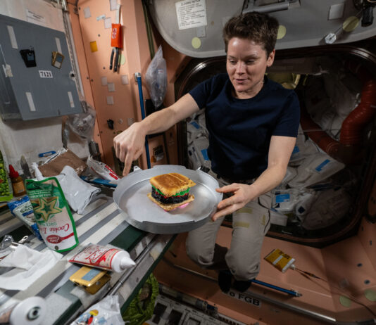 NASA Crew Marks Historic Achievement on Space Station Anne McClain, a white woman with short brown hair, floats while pointing downward with her right hand. Her left hand holds something that looks almost like a cake tin in place. There is a hamburger-shaped cake in the