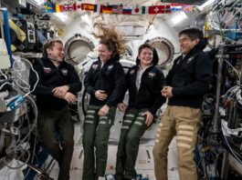 SpaceX Crew-10 Reflects on Scientific Endeavors with NASA From left, NASA