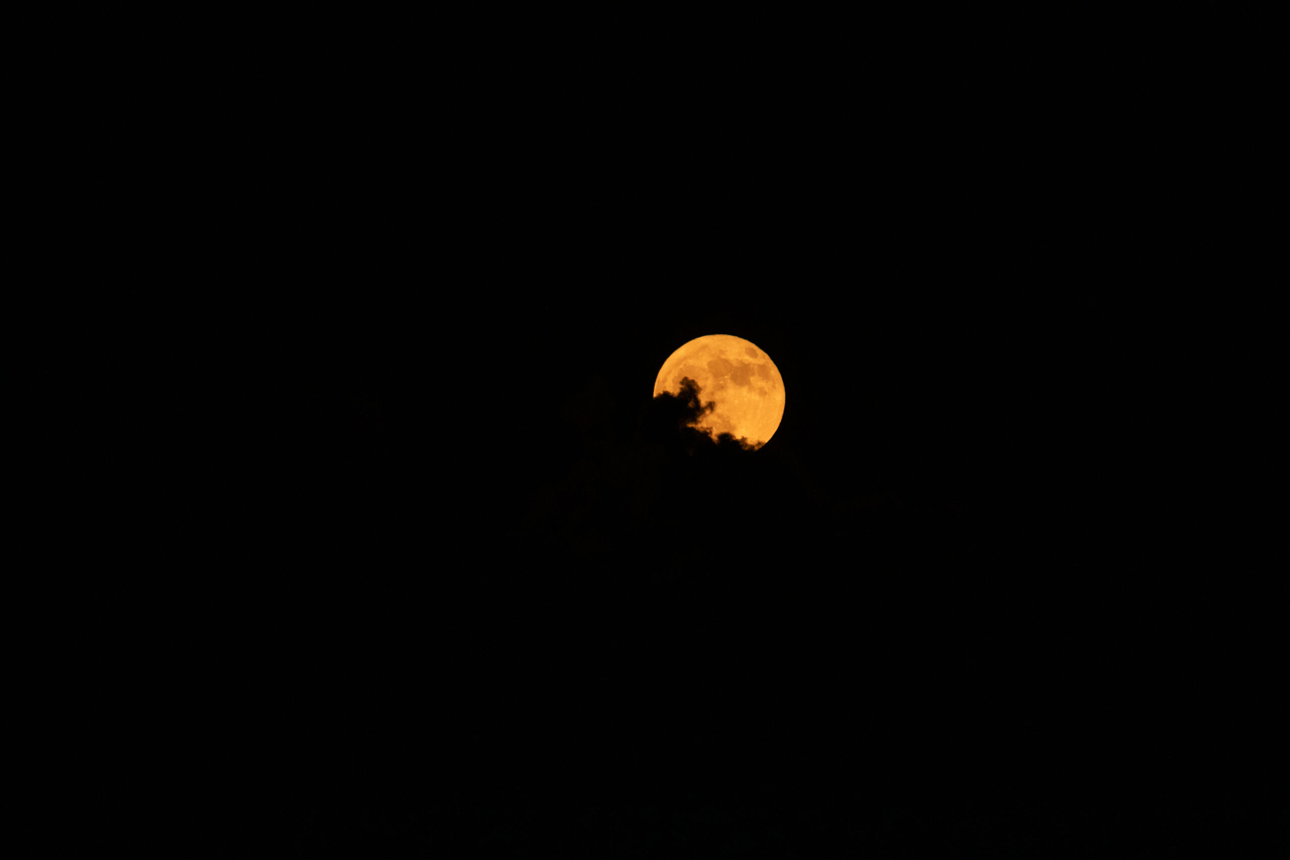 ksc 20240819 ph jbs01 0022orig.jpg An orange full moon is the only thing you can see in this image. The sky is black, and the outline of some clouds are visible against the Moon.