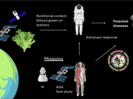 Citizen Scientists Explore Space-Ready Salads for NASA Diagram illustrating research on lettuce grown in space stations and its effects on astronaut health. Lettuce nutritional content is linked to astronaut diet, potential diseases, and astronaut biological response. Missions including I4, JAXA, and NASA’s Twin Study are shown, with graphics of spacecraft, astronauts, the ISS, and biological diagrams.