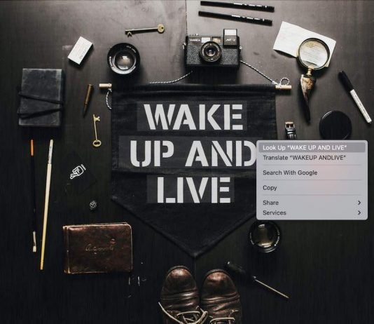 How To Get macOS’ Live Text Feature In Windows Live Text Feature in Windows