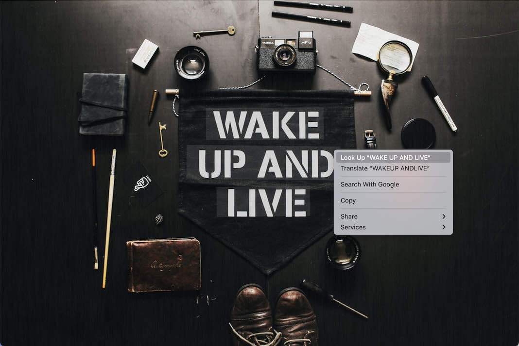 live text Live Text Feature in Windows