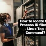 How to locate the Process ID files in Linux Top Command? locate path pid linux