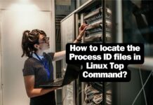How to locate the Process ID files in Linux Top Command? locate path pid linux