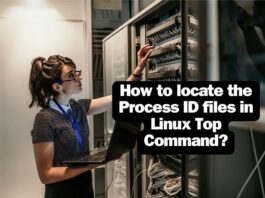 How to locate the Process ID files in Linux Top Command? locate path pid linux