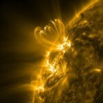 NASA Observes Coronal Loop Flickers Preceding Major Solar Flares NASA Solar Observatory Sees Coronal Loops Flicker Before Big Flares - NASA Science