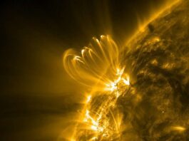 NASA Observes Coronal Loop Flickers Preceding Major Solar Flares NASA Solar Observatory Sees Coronal Loops Flicker Before Big Flares - NASA Science