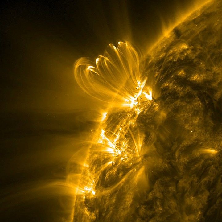 lovelyloops sdo.jpg NASA Solar Observatory Sees Coronal Loops Flicker Before Big Flares - NASA Science