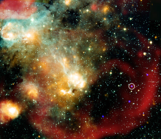 NASA Discovers a Unique Star This composite image shows a dramatically colorful scene. There are green, blue, and orange gas clouds at top left and a large, wispy, a supernova remnant which appears as a red oval ring at lower right. The oddly-behaving star sits inside that oval ring; a tiny purple speck (with a white circle around it) in a sea of colorful specks. In this composite image, X-rays from Chandra (blue) have been combined with infrared data from NASA’s Spitzer Space Telescope (cyan, light blue, teal and orange), and radio from LOFAR (red).