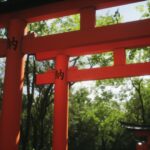 Lushfoil Photography Sim: Discover Global Beauty on Xbox Wire Lushfoil Photography Sim: Capturing The World’s Beauty Through A New Lens - Xbox Wire