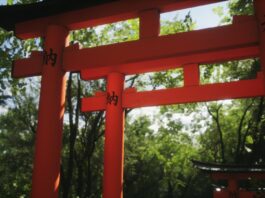 Lushfoil Photography Sim: Discover Global Beauty on Xbox Wire Lushfoil Photography Sim: Capturing The World’s Beauty Through A New Lens - Xbox Wire