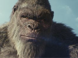 NVIDIA Scientists Win Oscars for Filmmaking Innovations Oscars Gold: NVIDIA Researchers Honored for Advancing the Art and Science of Filmmaking