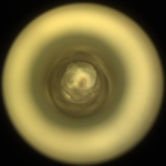 NASA Science: Advancing with Determination A round, golden circle resembling a metal doughnut surrounds a dark tan circle, at the center of which appear to be multiple round layers in various shades of gold to tan, resembling stacked, see-through layers of mica.