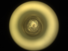 NASA Science: Advancing with Determination A round, golden circle resembling a metal doughnut surrounds a dark tan circle, at the center of which appear to be multiple round layers in various shades of gold to tan, resembling stacked, see-through layers of mica.