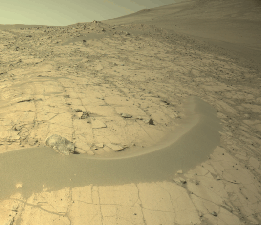 NASA Hunts for Primeval Rocks in Forlandet Flats A color image from the Martian surface shows uneven yellow-tan ground that rises from the foreground upward toward the upper right corner of the image and off the frame. The ground appears dry, with narrow cracks dividing the ground into squares and other angular shapes. A narrow strip of smoother ground, like a low berm of mounded sand, curves from the left side toward the middle of the image. Beyond that, toward the upper left, the dry ground is more gravel-covered.