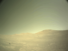 NASA’s Perseverance Rover Encounters Megabreccia on Mars A color photo from the Martian surface shows a landscape with terrain appearing light mustard brown, beneath a sky of gray-green gold. The ground is hilly but fairly smooth, with a few small scattered rocks, and a wavy horizon line about mid-frame.