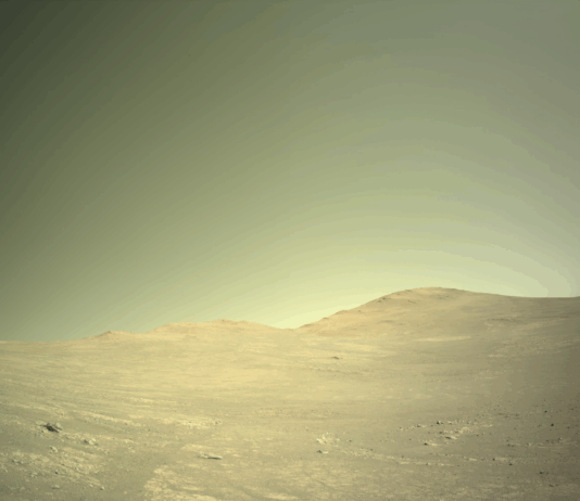 NASA’s Perseverance Rover Encounters Megabreccia on Mars A color photo from the Martian surface shows a landscape with terrain appearing light mustard brown, beneath a sky of gray-green gold. The ground is hilly but fairly smooth, with a few small scattered rocks, and a wavy horizon line about mid-frame.