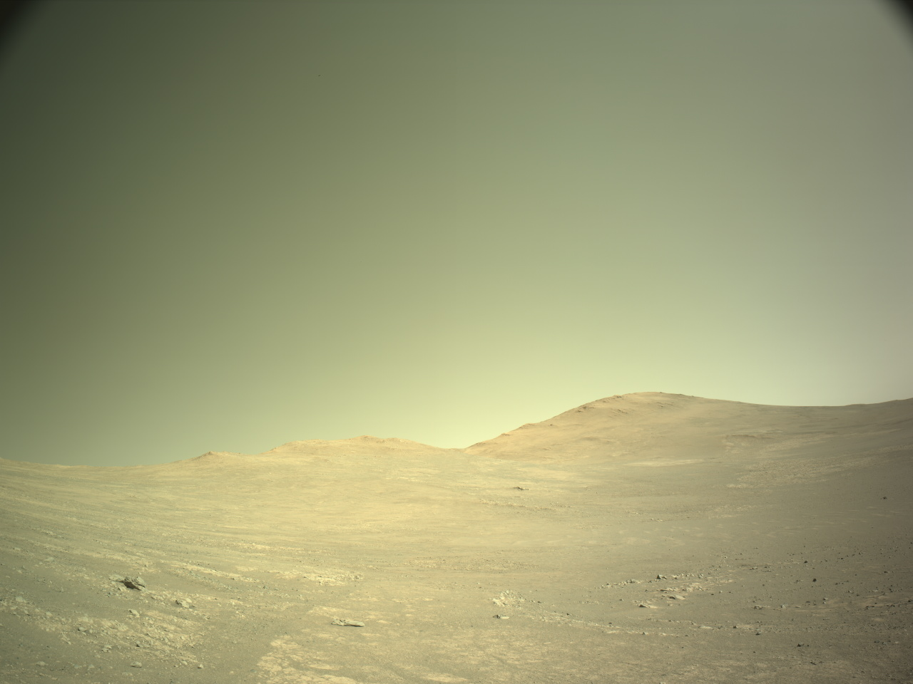 A color photo from the Martian surface shows a landscape with terrain appearing light mustard brown, beneath a sky of gray-green gold. The ground is hilly but fairly smooth, with a few small scattered rocks, and a wavy horizon line about mid-frame.