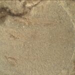 NASA Science Explores Darkness Hidden Within Light A color close-up photo of the Martian surface shows a pale tan-orange rock, with a more or less circular face showing, that has grooves or lines emanating from a center point like rays.