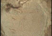 NASA Science Explores Darkness Hidden Within Light A color close-up photo of the Martian surface shows a pale tan-orange rock, with a more or less circular face showing, that has grooves or lines emanating from a center point like rays.