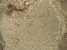 NASA Science Explores Darkness Hidden Within Light A color close-up photo of the Martian surface shows a pale tan-orange rock, with a more or less circular face showing, that has grooves or lines emanating from a center point like rays.