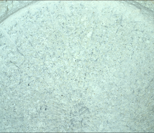 NASA Science: Cookies, Cream, and Decomposing Centers A color photograph shows a close-up of a rock on Mars, with surface that appears a very pale mint green, flecked with innumerable black specks, looking like the top of a freshly opened tub of mint chocolate chip ice cream.