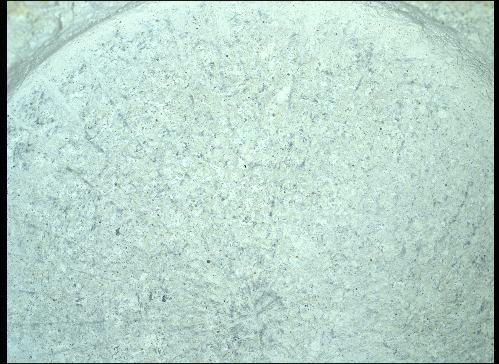 mars perseverance sif 1405 0791710034 203eby n0670000srlc08046 0000lmj.png A color photograph shows a close-up of a rock on Mars, with surface that appears a very pale mint green, flecked with innumerable black specks, looking like the top of a freshly opened tub of mint chocolate chip ice cream.