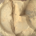 Exploring Tilted Waterways: NASA’s Latest Scientific Endeavors A color close-up photo from the Martian surface shows a circular impression on the flat, hard-looking stone surface, colored brownish-tan, which takes up almost all the image frame. The impression dimensions — its depth compared to its circumference — resembles that of a pie tin. The color of the terrain exposed in the impression is a pale warm tan, much lighter than the surrounding rock. The impression is fractured, in a crack straight down its middle. Another small crack points from the center toward the 4 o’clock position in the circle. To the right of that, the rest of the circle is cleaved off, and the entirety of about one-third of the right side of the circle is missing past a zig-zag line, running from about 1 o’clock to 5 o’clock, leaving an edge that descends below the surface, about twice the depth of the original impression.