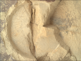 Exploring Tilted Waterways: NASA’s Latest Scientific Endeavors A color close-up photo from the Martian surface shows a circular impression on the flat, hard-looking stone surface, colored brownish-tan, which takes up almost all the image frame. The impression dimensions — its depth compared to its circumference — resembles that of a pie tin. The color of the terrain exposed in the impression is a pale warm tan, much lighter than the surrounding rock. The impression is fractured, in a crack straight down its middle. Another small crack points from the center toward the 4 o’clock position in the circle. To the right of that, the rest of the circle is cleaved off, and the entirety of about one-third of the right side of the circle is missing past a zig-zag line, running from about 1 o’clock to 5 o’clock, leaving an edge that descends below the surface, about twice the depth of the original impression.