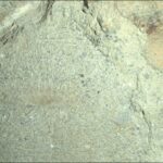 NASA Hunts for Spherules to Study A color close-up photo of the Martian surface shows a pale yellowish-tan rock, with grooves or lines emanating from a center point like rays, with scattered black spots and small indentations throughout its surface.