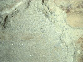 NASA Hunts for Spherules to Study A color close-up photo of the Martian surface shows a pale yellowish-tan rock, with grooves or lines emanating from a center point like rays, with scattered black spots and small indentations throughout its surface.