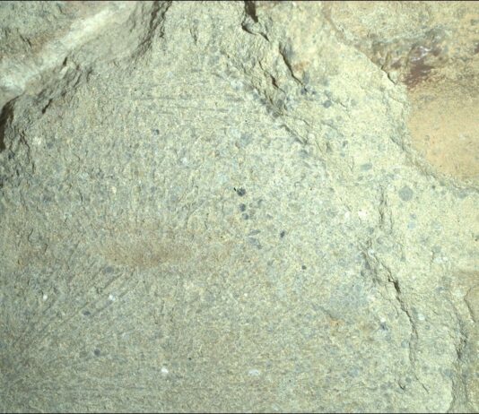 NASA Hunts for Spherules to Study A color close-up photo of the Martian surface shows a pale yellowish-tan rock, with grooves or lines emanating from a center point like rays, with scattered black spots and small indentations throughout its surface.