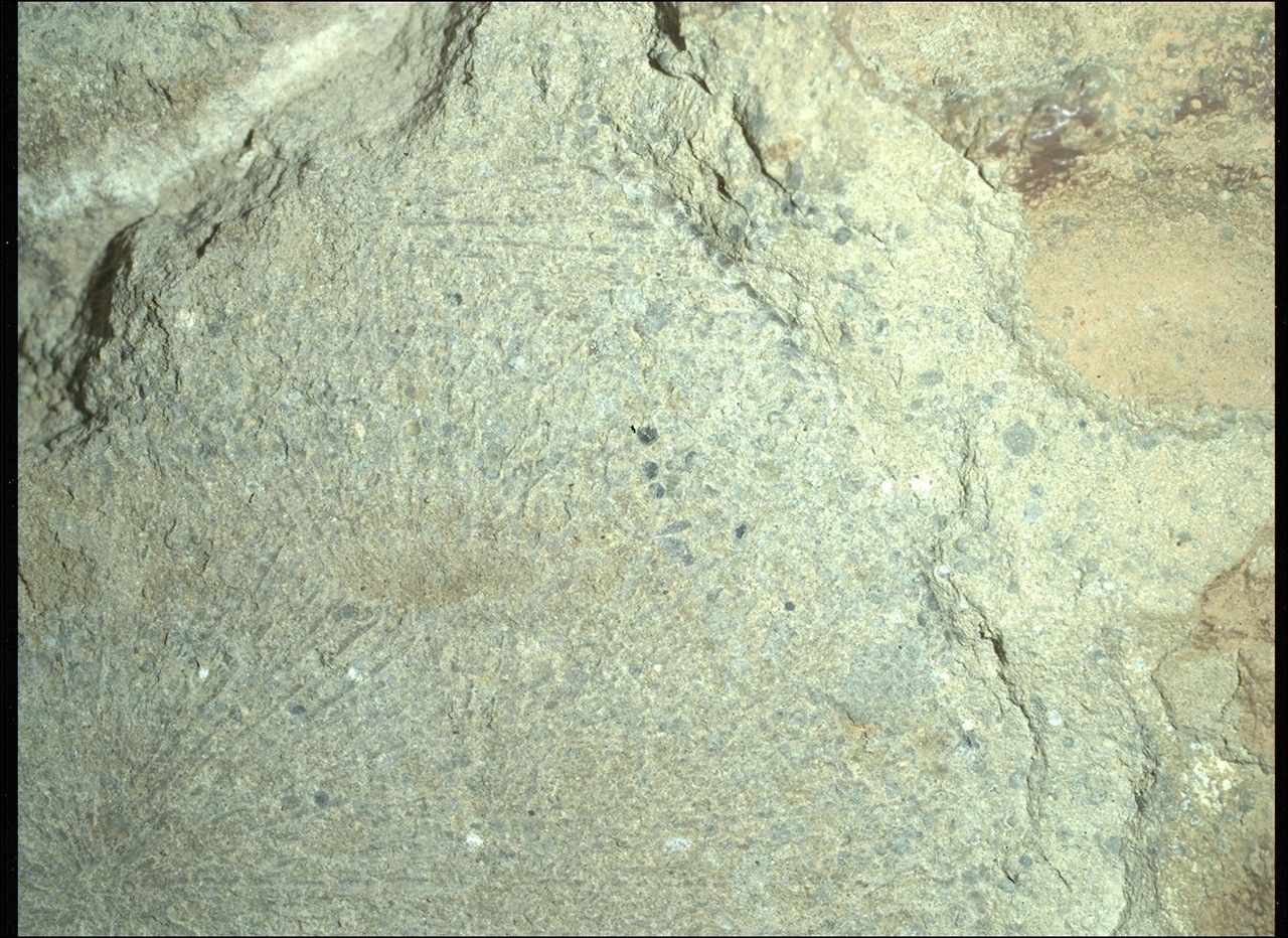 mars perseverance sif 1480 0798361518 605eby n0730000srlc08046 0000lmj.jpg A color close-up photo of the Martian surface shows a pale yellowish-tan rock, with grooves or lines emanating from a center point like rays, with scattered black spots and small indentations throughout its surface.