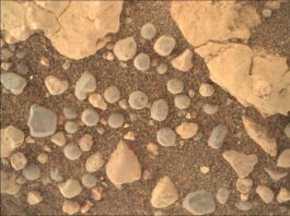 NASA’s Discovery: Mysterious Sand Spheres Uncovered A close-up color photograph from the Martian surface shows an overhead view of a patch of ground covered in what looks like very coarse, rust-colored sand, with numerous rocks in various colors resting atop the sand. Large pale-orange rocks, knobby and lined with small fractures, dominate the upper right and left corners of the frame. Most of the rest of the image is highlighted by dozens of smaller rocks, about half of them pale gray and nearly spherical, resembling dust-covered blueberries or frozen peas.