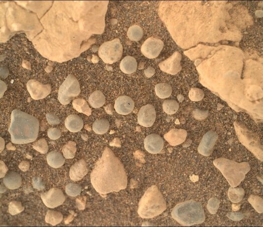 NASA’s Discovery: Mysterious Sand Spheres Uncovered A close-up color photograph from the Martian surface shows an overhead view of a patch of ground covered in what looks like very coarse, rust-colored sand, with numerous rocks in various colors resting atop the sand. Large pale-orange rocks, knobby and lined with small fractures, dominate the upper right and left corners of the frame. Most of the rest of the image is highlighted by dozens of smaller rocks, about half of them pale gray and nearly spherical, resembling dust-covered blueberries or frozen peas.