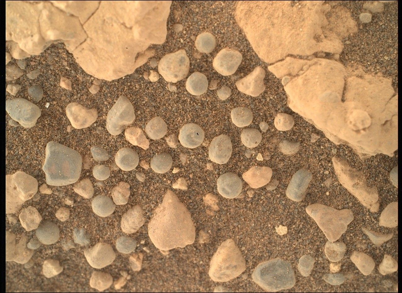 mars perseverance sif 1555 0804985824 601eby n0770000srlc00336 0000lmj.jpg A close-up color photograph from the Martian surface shows an overhead view of a patch of ground covered in what looks like very coarse, rust-colored sand, with numerous rocks in various colors resting atop the sand. Large pale-orange rocks, knobby and lined with small fractures, dominate the upper right and left corners of the frame. Most of the rest of the image is highlighted by dozens of smaller rocks, about half of them pale gray and nearly spherical, resembling dust-covered blueberries or frozen peas.
