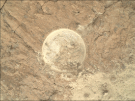 NASA Unveils Mars’ Ancient Wonders in New Science Show Image of the “Peachflya” abrasion spot
