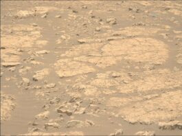 NASA Pursues Clay Research: Ongoing Scientific Exploration A color photo from the Martian surface shows an area of pale brownish-orange rocks, mostly medium to large and flat, with varied edges and cracks. Among them are numerous smaller rocks that are more jagged, poking up. In between the rocks the area is covered in fine soil, slightly darker-toned than the rocks.