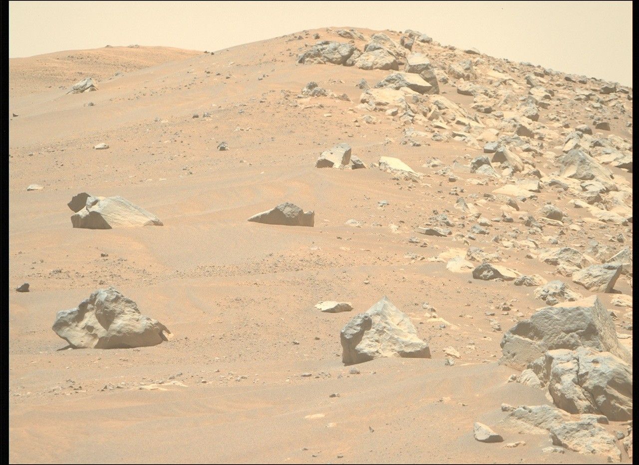 mars perseverance zr0 1568 0806136599 348eby n0771350zcam04183 1100lmj.jpg A color photo from the Martian surface shows a landscape of sandy, rocky terrain. What looks like a pair of light orange-brown sand dunes rise in the background. Four or five large, sharp-edged rocks are strewn among the sand on the left side of the image. But a clear vertical dividing line extends from the center of the image to the right side, where the sand is covered by similar rocks of all sizes. A pale yellow sky is visible above the scene.