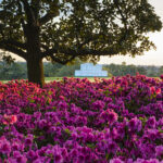 IBM Introduces AI-Driven Fan Enhancements for 2025 Masters IBM Tees Up watsonx AI-powered Digital Fan Features for the 2025 Masters Tournament
