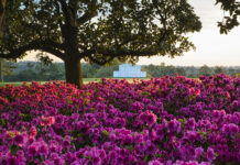 IBM Introduces AI-Driven Fan Enhancements for 2025 Masters IBM Tees Up watsonx AI-powered Digital Fan Features for the 2025 Masters Tournament