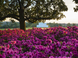 IBM Introduces AI-Driven Fan Enhancements for 2025 Masters IBM Tees Up watsonx AI-powered Digital Fan Features for the 2025 Masters Tournament