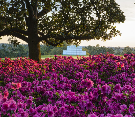 IBM Introduces AI-Driven Fan Enhancements for 2025 Masters IBM Tees Up watsonx AI-powered Digital Fan Features for the 2025 Masters Tournament