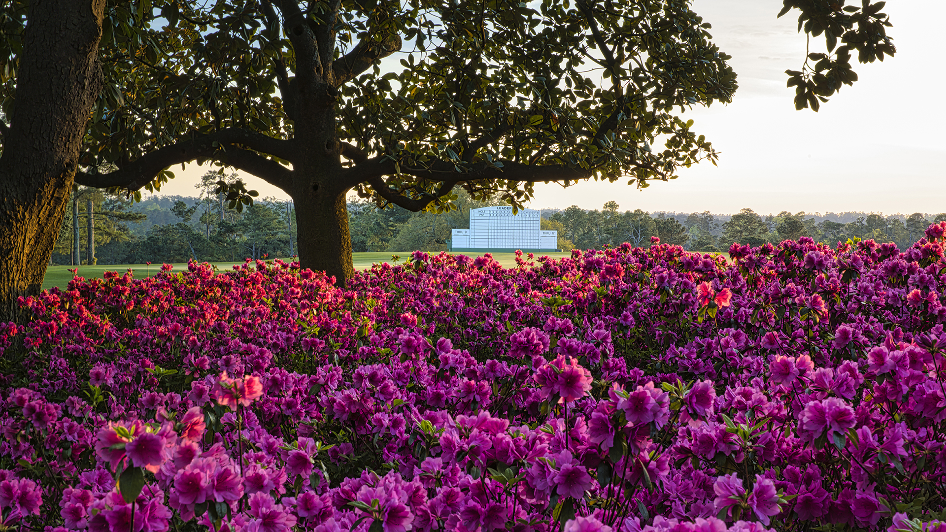 IBM Tees Up watsonx AI-powered Digital Fan Features for the 2025 Masters Tournament