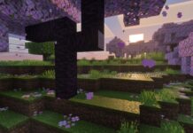 Minecraft: Stunning Graphics Realize Your Imagined Game World Minecraft: Vibrant Visuals Transforms the Game Into What You’ve Always Imagined in Your Head - Xbox Wire