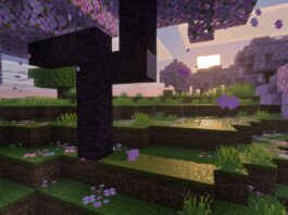 Minecraft: Stunning Graphics Realize Your Imagined Game World Minecraft: Vibrant Visuals Transforms the Game Into What You’ve Always Imagined in Your Head - Xbox Wire